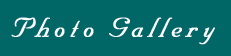 Photo Gallery